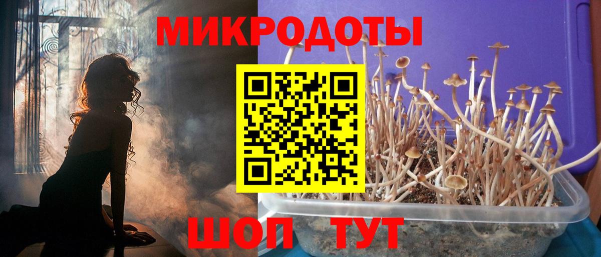 Галлюциногенные грибы Psilocybine cubensis  наркотики  Верхний Уфалей  Вход с VPN  Псилоцибиновые грибы Psilocybe 