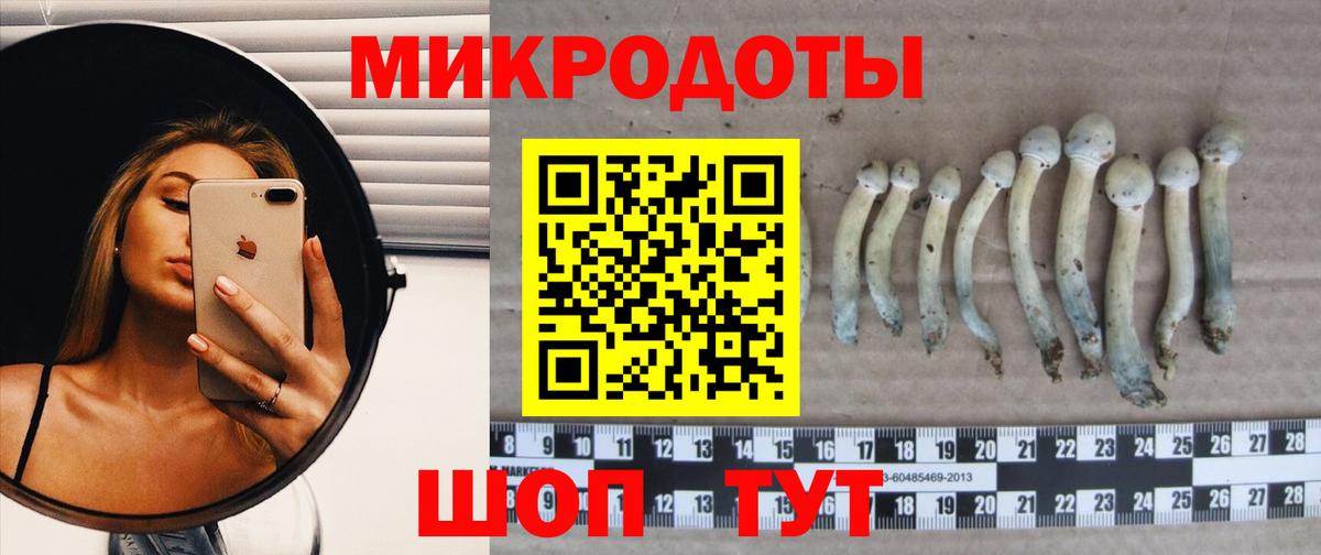 Псилоцибиновые грибы мицелий Верхний Уфалей